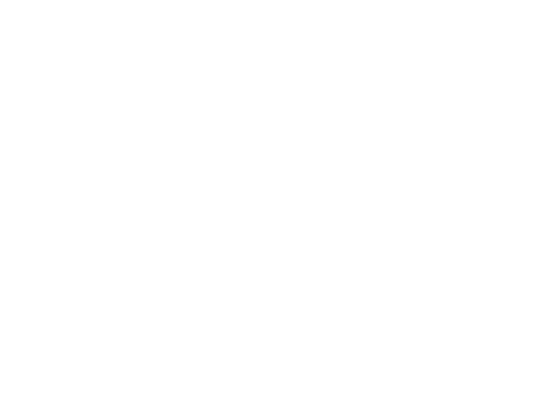 AALGA – Asociacion Argentina de Laudes y Guitarras Antiguas